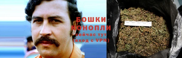 ECSTASY Мегион