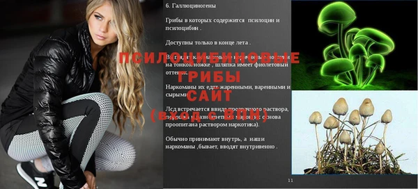 мдпв Медвежьегорск