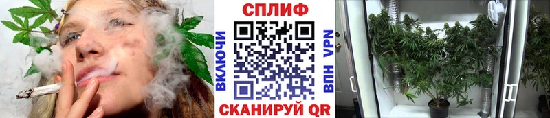 Бошки марихуана White Widow  Купить где  Златоуст 